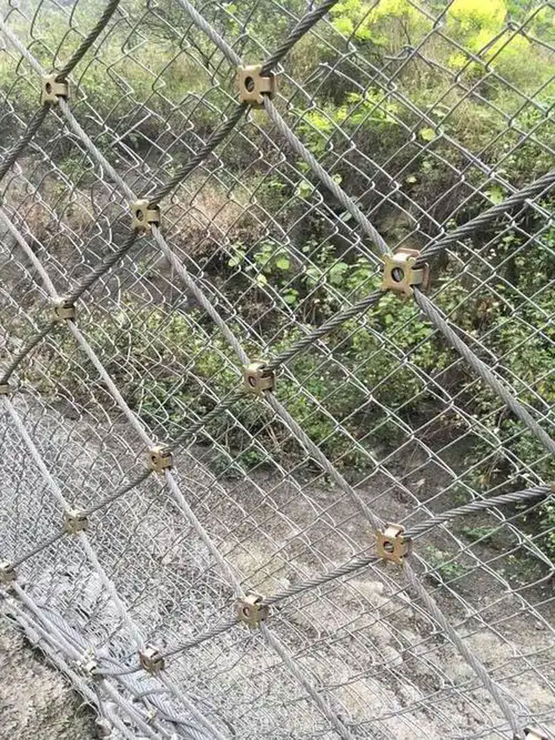 主动防护网